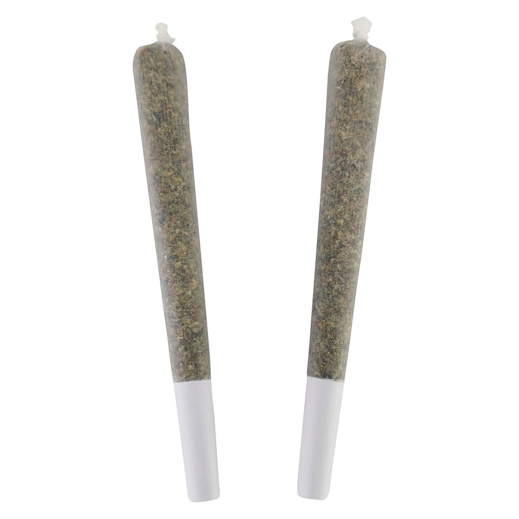 PISTOL AND PARIS MASTER KUSH ULTRA (IND) PRE-ROLL 0.5G X 10