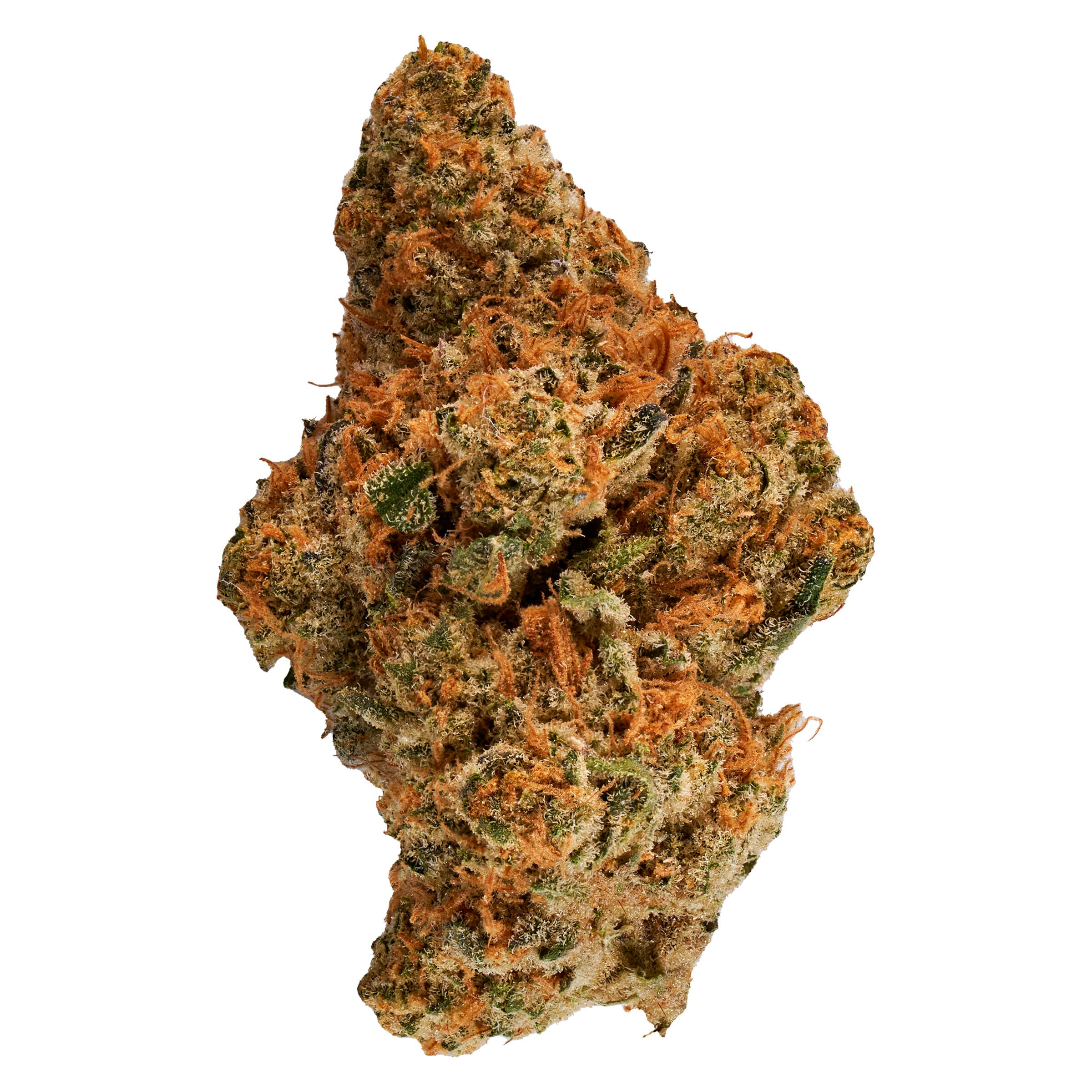 GOLDEN SPRUCE HIPPIE HEADBANGER (IND) DRIED - 14G
