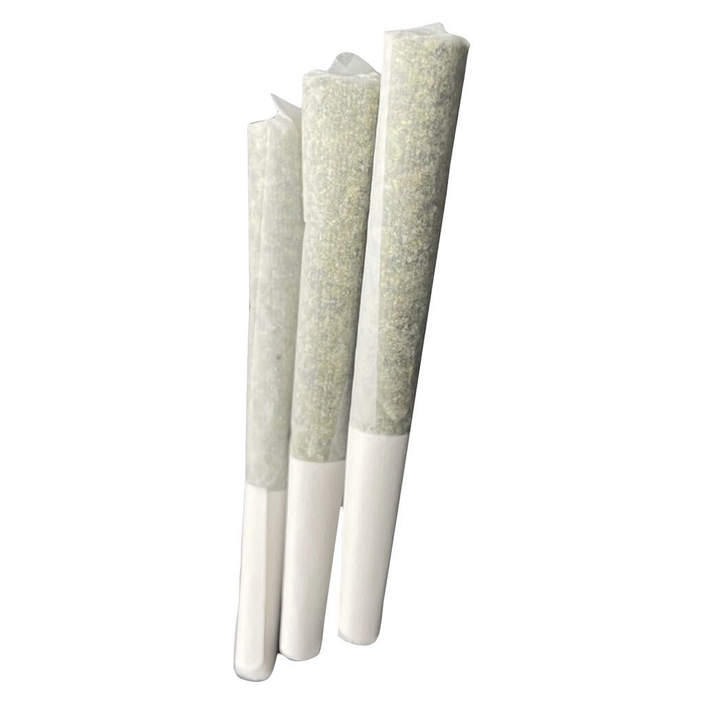 TERRA LABS BLUEBERRY AVALANCHE (IND) INF PRE-ROLL - 0.5G X 3