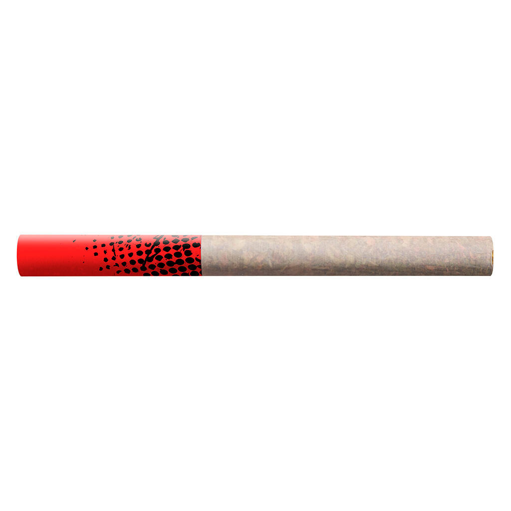 BIG BAG O BUDS BOJ BLUEBERRY DREAM (S) PRE-ROLL 0.4G X 20