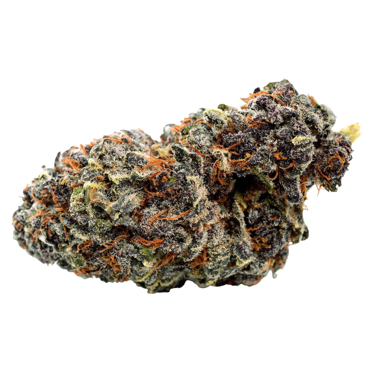 QWEST GEORGIA PIE CRAFT (H) DRIED - 14G