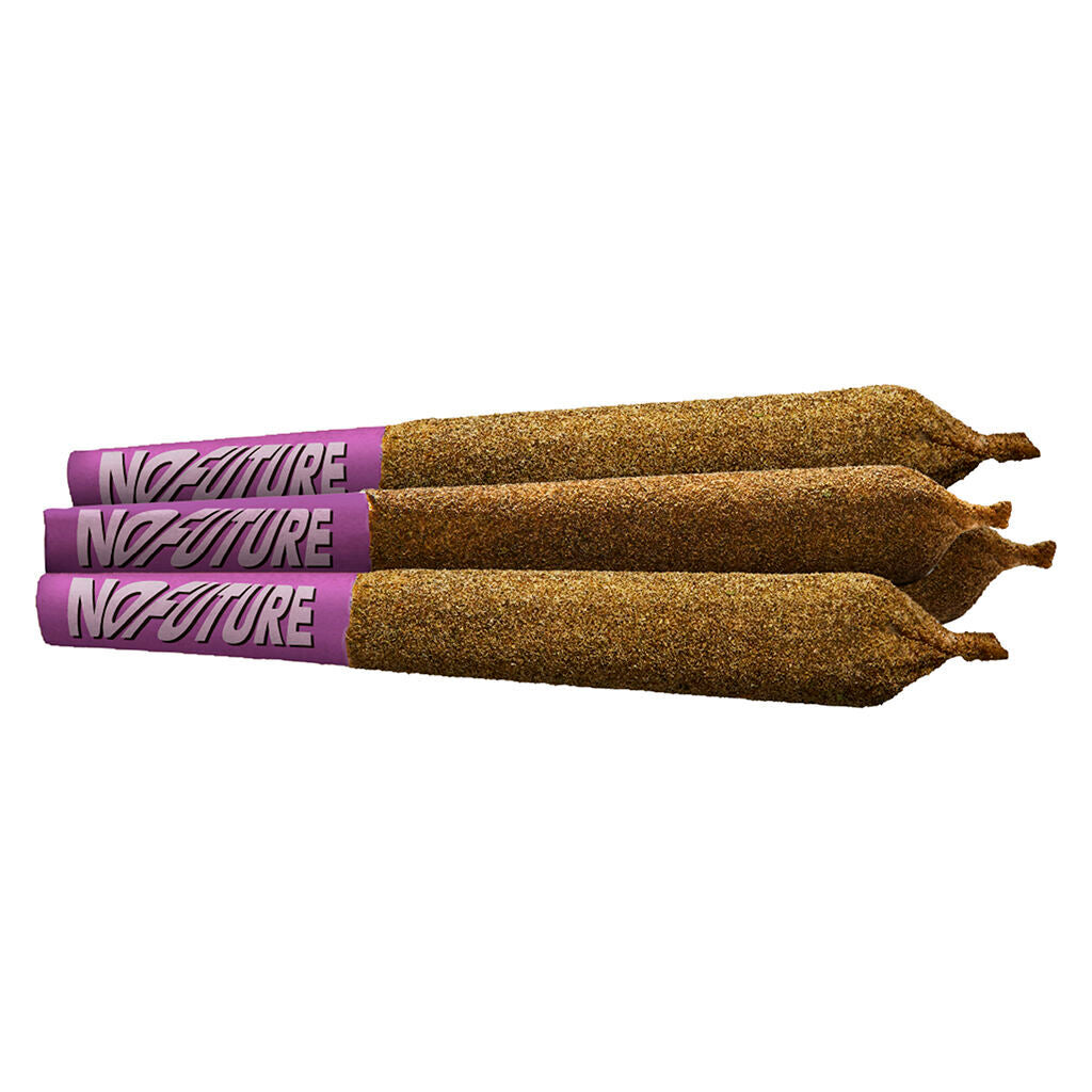 NO FUTURE MOON ROLLS PURPLE ONE (S) INF PRE-ROLL 0.5G X 4