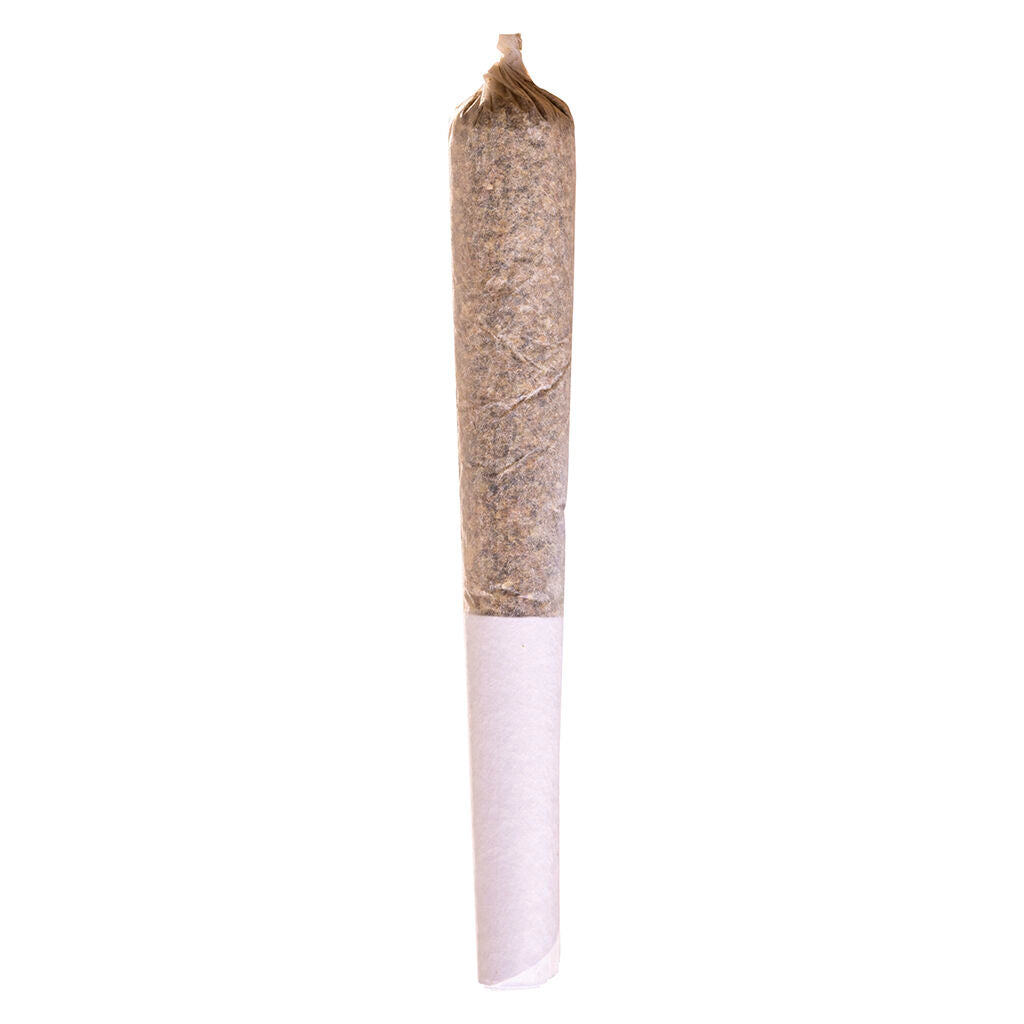 STATION HOUSE JACK HERER (S) PRE-ROLL 0.5G X 1