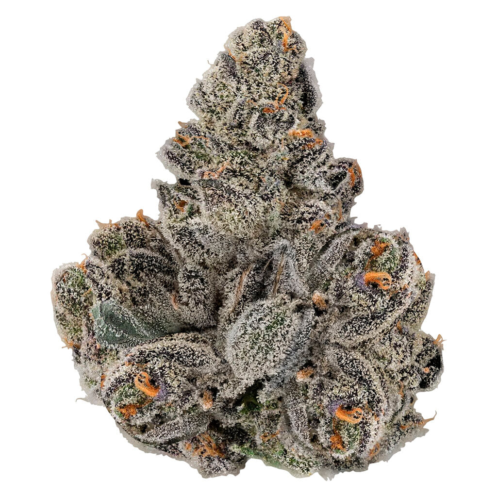 KWALL GASTRO POP (IND) DRIED - 3.5G