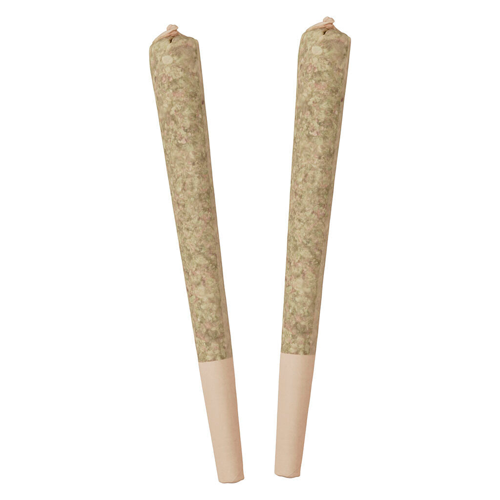STANDARD ISSUE BING CHERRY (IND) INF PRE-ROLL - 0.5G X 2