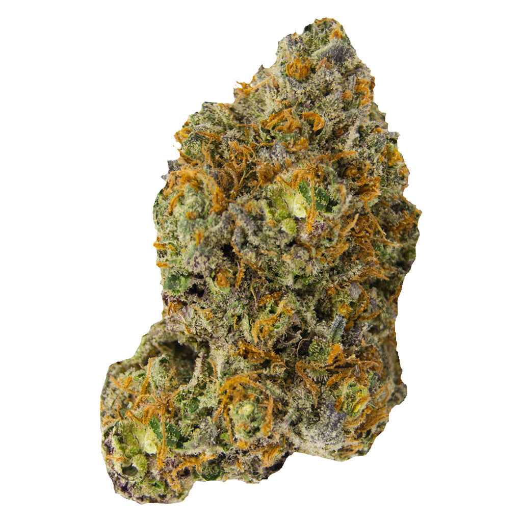 VERSUS VARIANT (H) DRIED - 14G