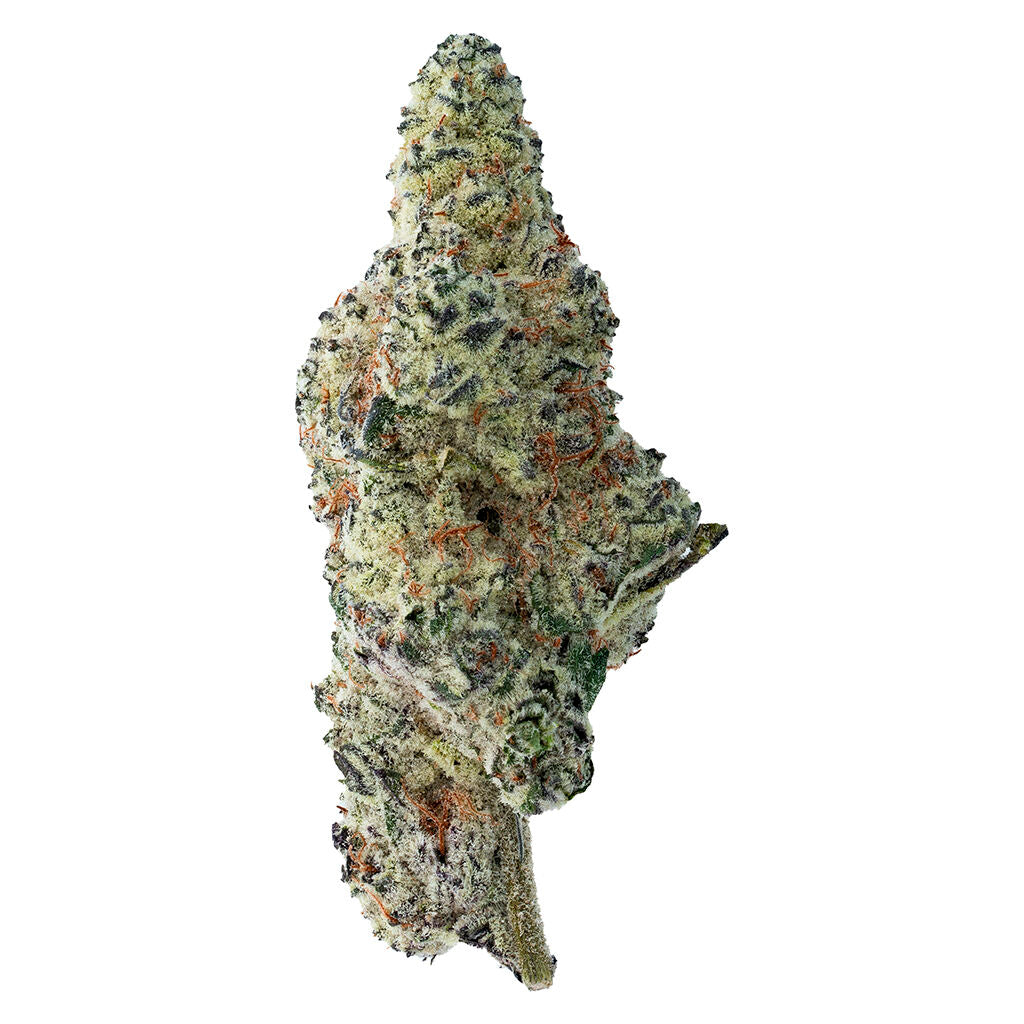 THE LOUD PLUG TROPICANA COOKIES (S) DRIED - 28G