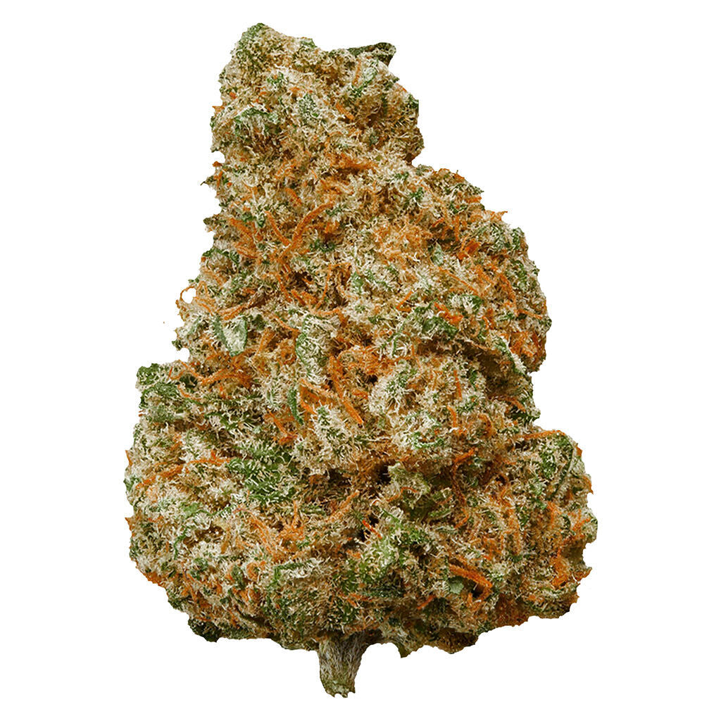 POTLUCK MANGO DREAM (S) DRIED - 7G