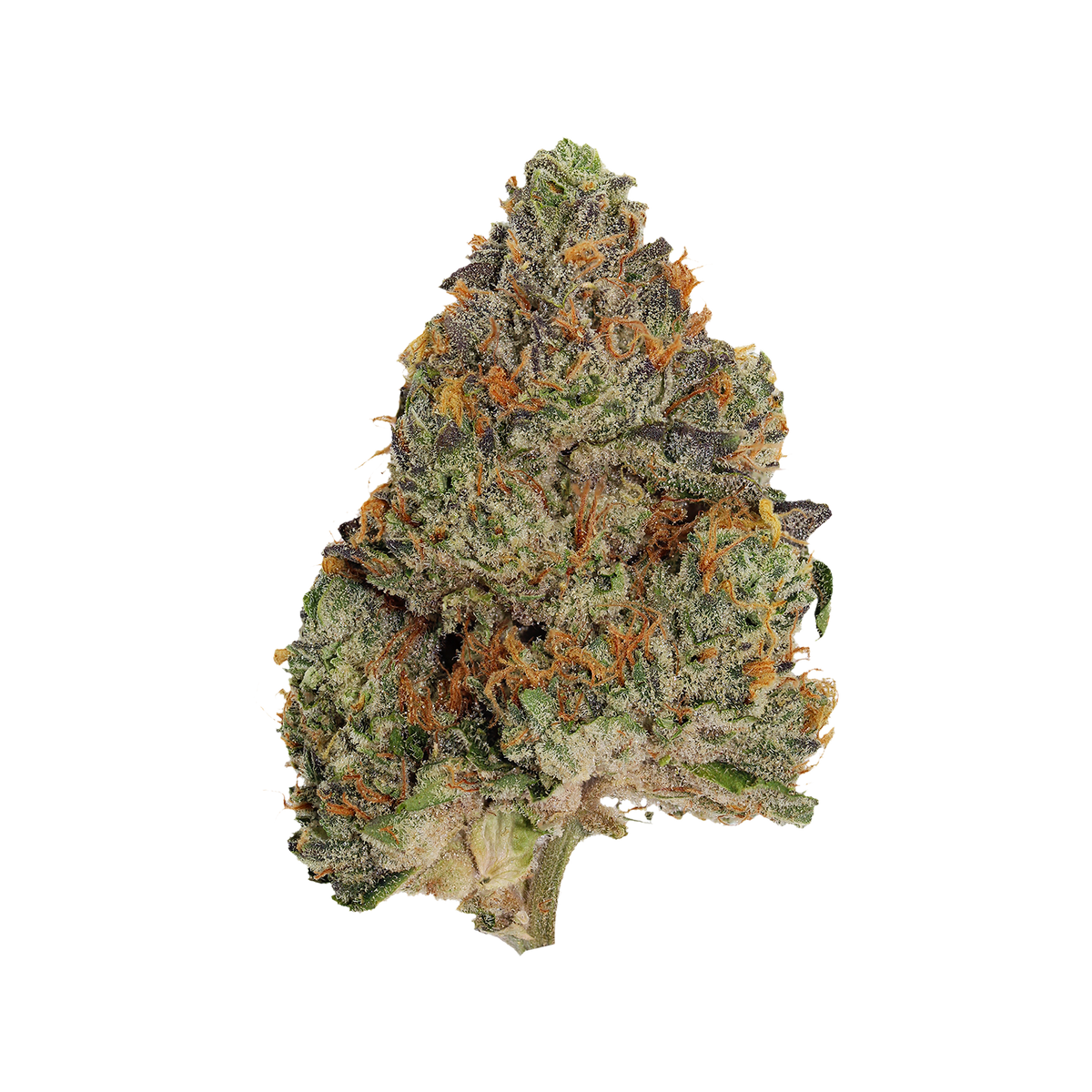 PISTOL AND PARIS BLUE ZUSHI (IND) DRIED - 3.5G