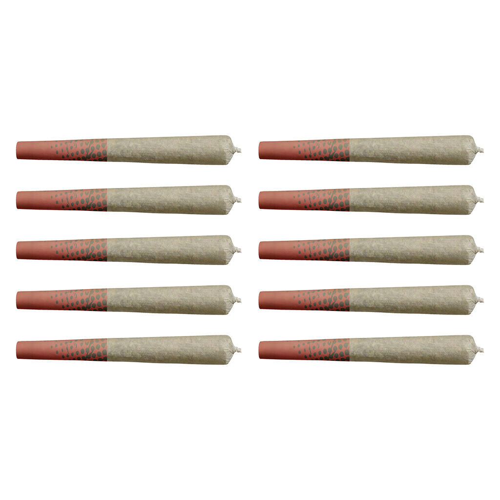 BIG BAG O BUDS PURPLE CHERRY PUNCH (IND) PRE-ROLL 0.5G X 10