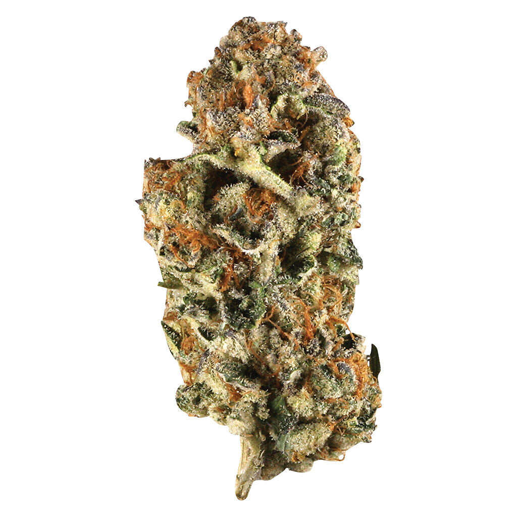 STATION HOUSE CANADIAN NORTHERN SERIES (S) DRIED - 3.5G