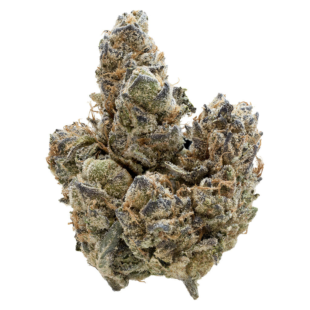 NUGZ FLORIDA ORANGES (H) DRIED - 7G
