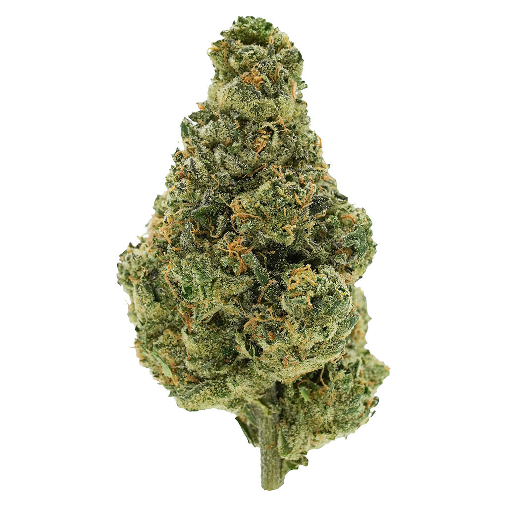 SIMPLY BARE BC ORGANIC LIME DRIZZLE (IND) DRIED - 3.5G