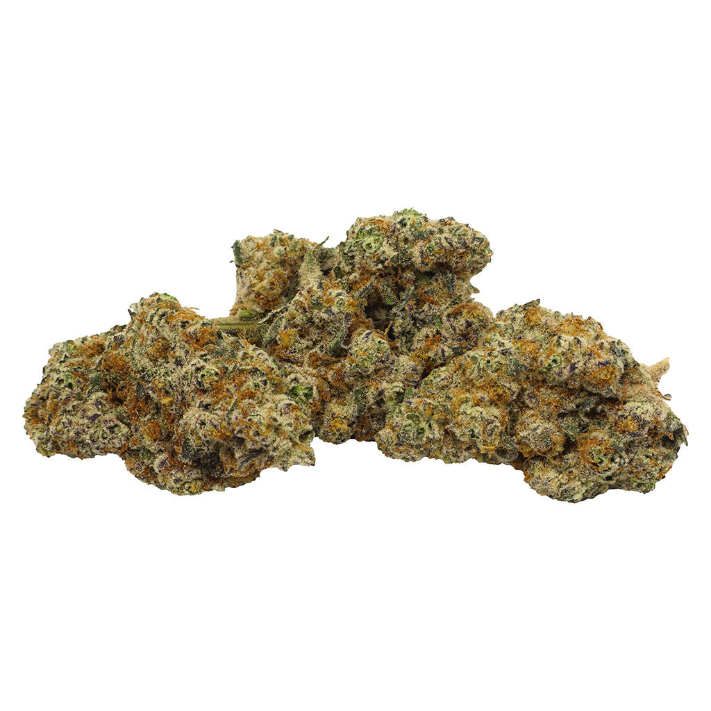 VIOLET TOURIST SUPERFLOWER SATIVA (S) DRIED - 14G