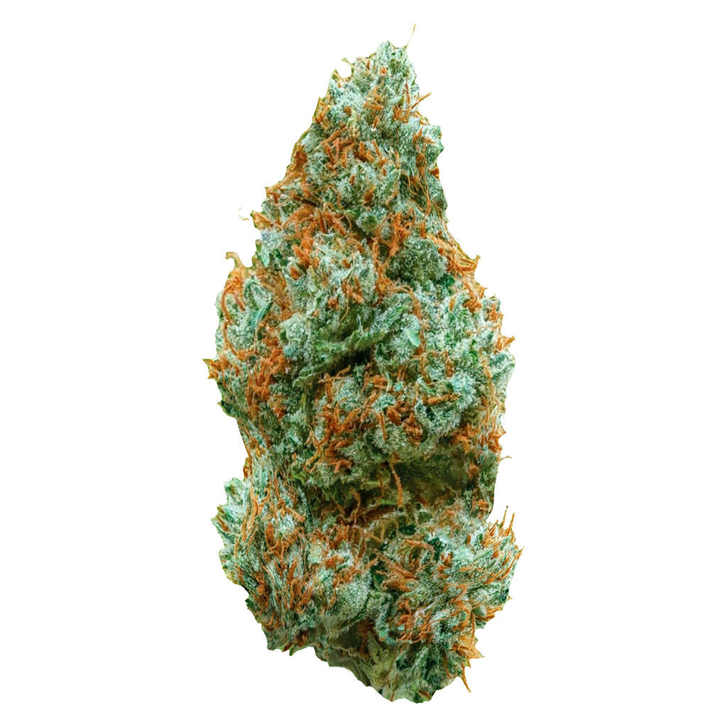 ALL NATIONS LEMON TARTZ (S) DRIED - 14G