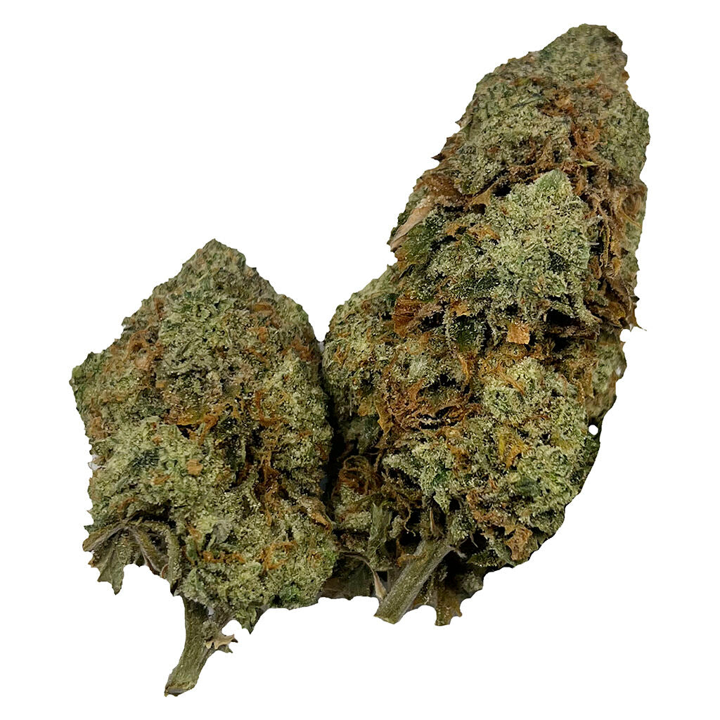 PUFFERS PARADISE HONAH LEE HAZE (S) DRIED - 7G