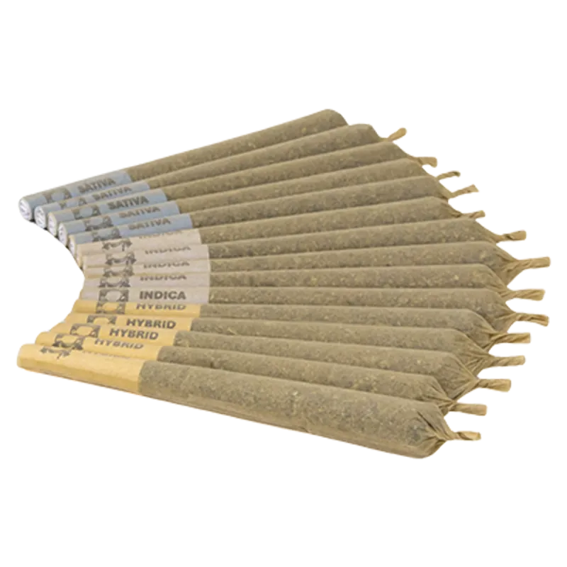 VIOLET TOURIST SNICKERGIGGLECHUCKLEBUM (H) PRE-ROLL - 1G X15