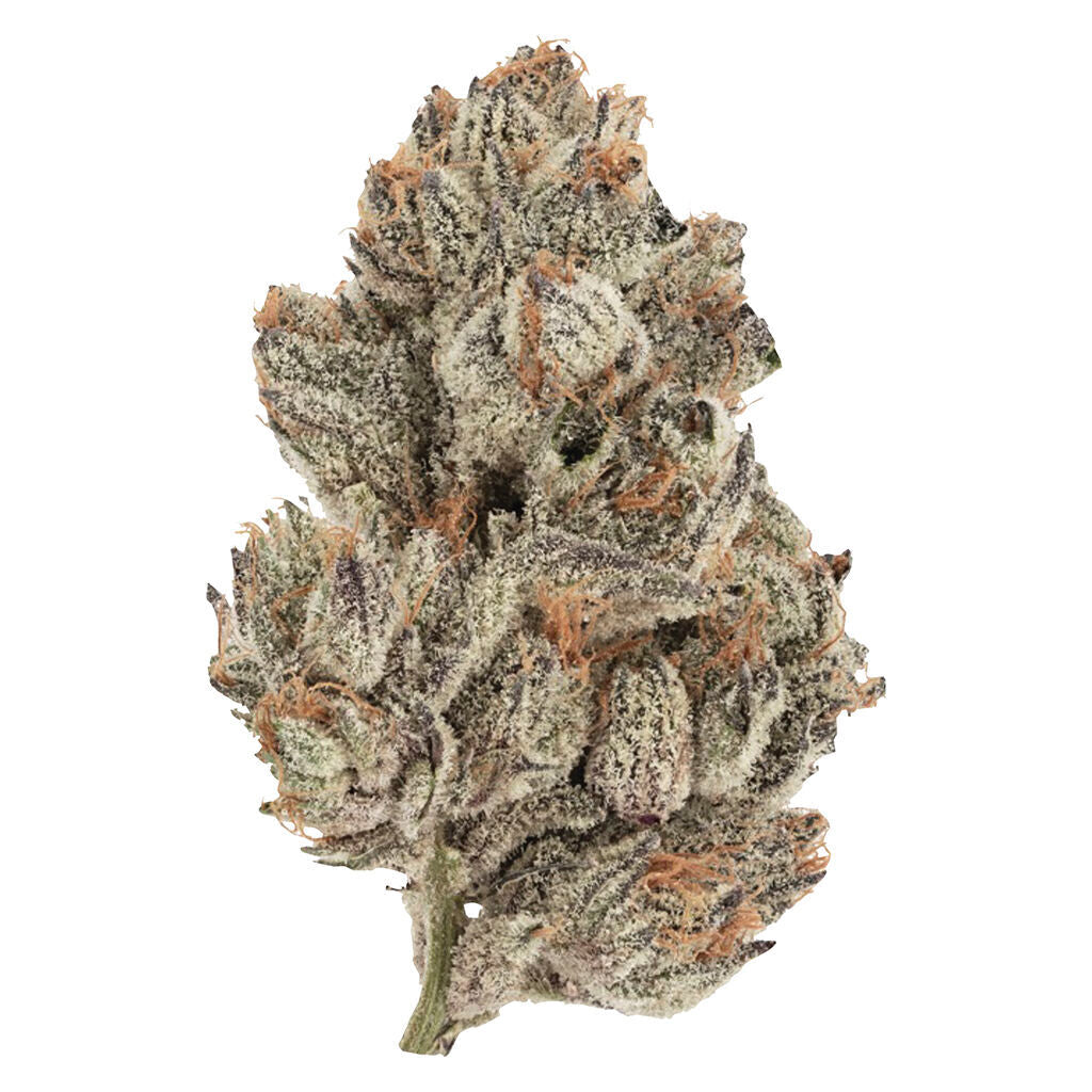 STATION HOUSE TRAINWRECK (S) DRIED - 3.5G