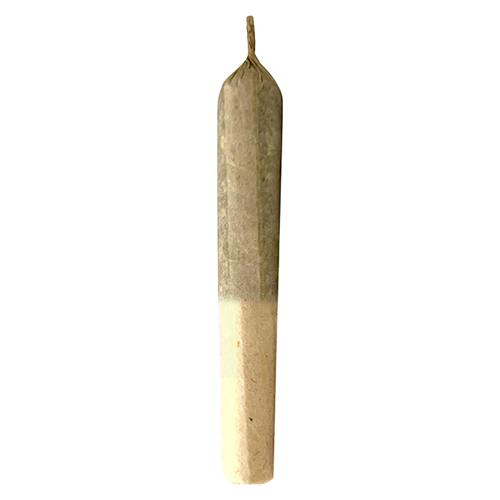 MTL CANNABIS APPLE SAUZ HASH&KIEF (H) INF PRE-ROLL - 0.5G X3