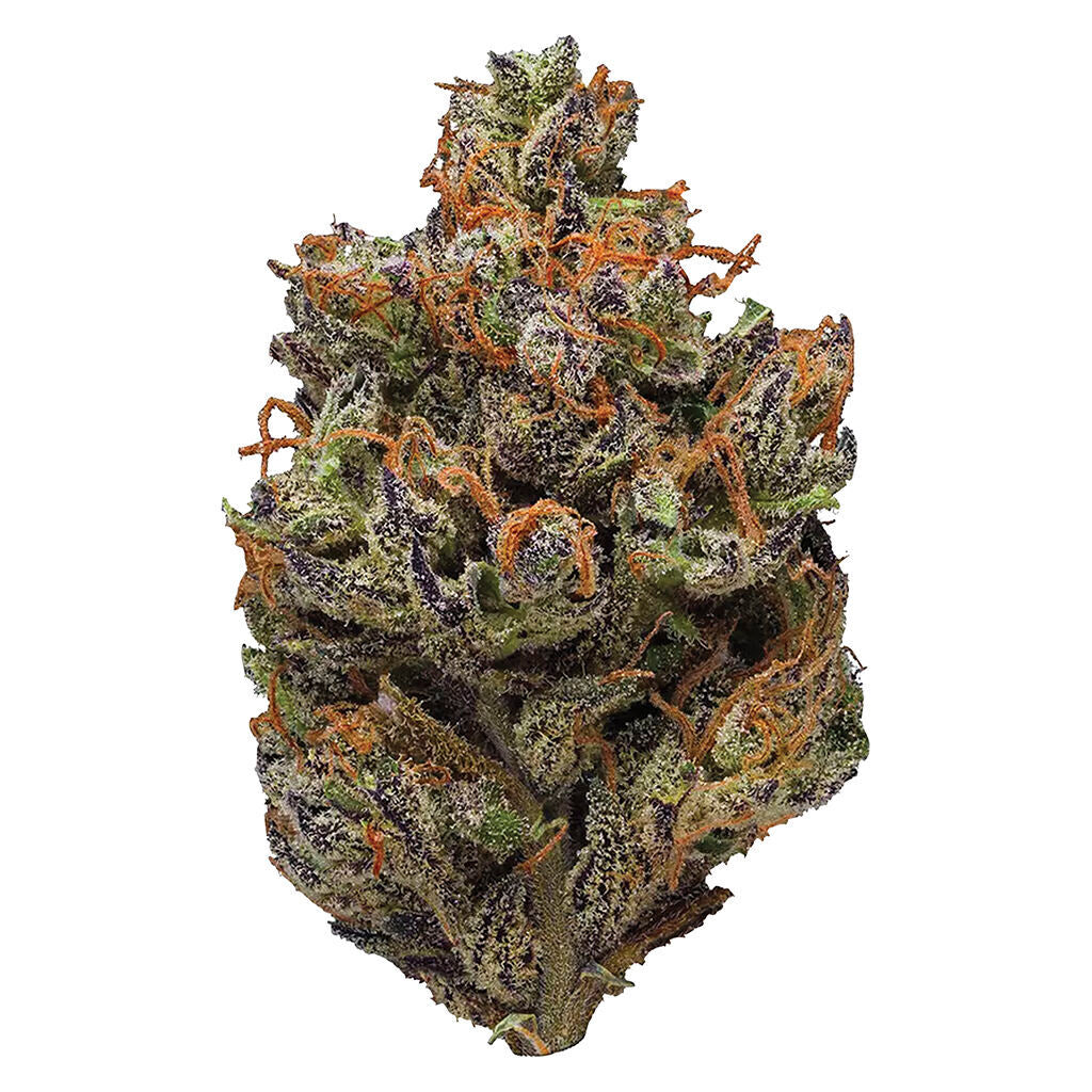 JACK HERER COLLECTION (S) DRIED - 3.5G