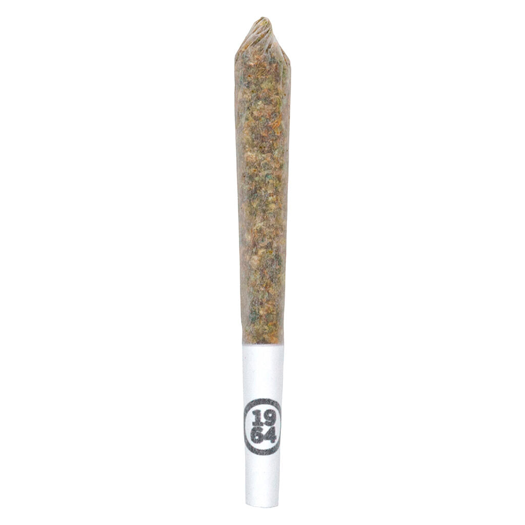 1964 COMATOSE (IND) PRE-ROLL - 0.5G X 14