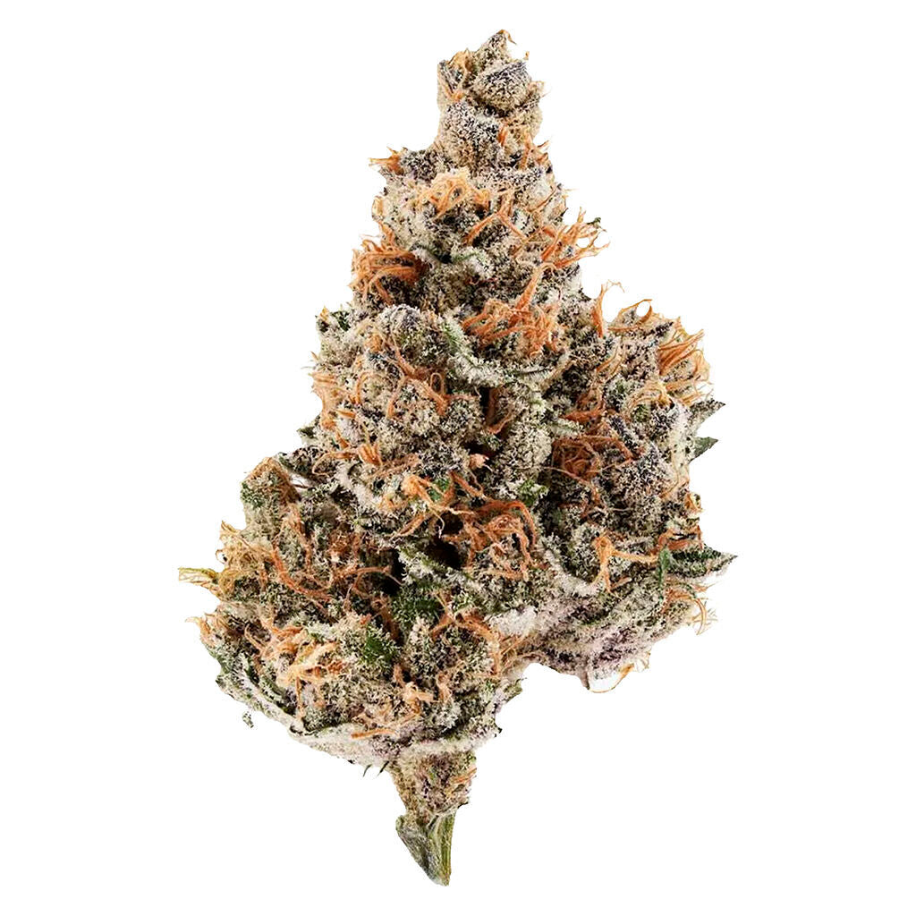 POTLUCK RASPBERRY RUNTZ (IND) DRIED - 7G