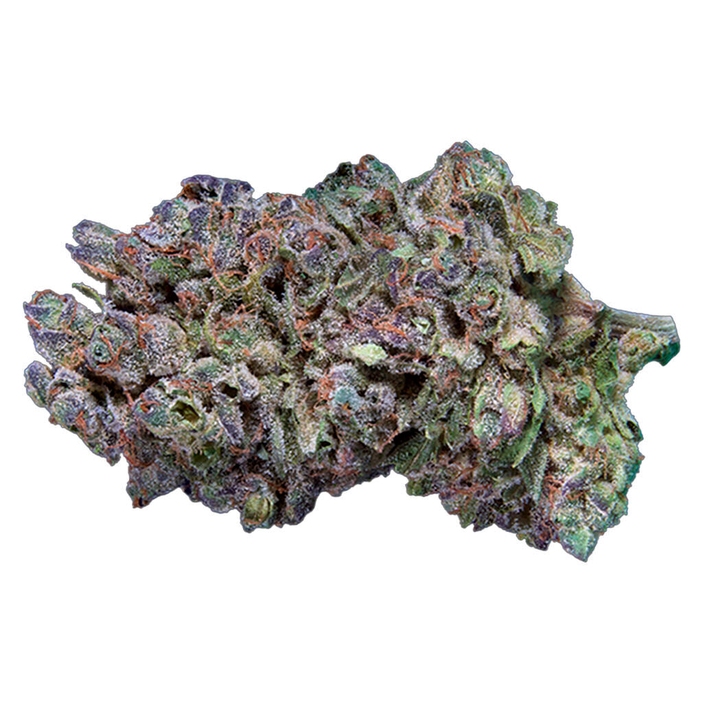 QWEST PLATINUM GAS (IND) DRIED - 7G