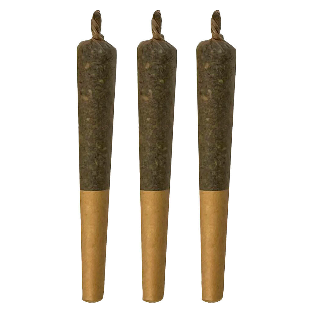SHEEESH PAPA (IND) INF PRE-ROLL - 0.5G X 3