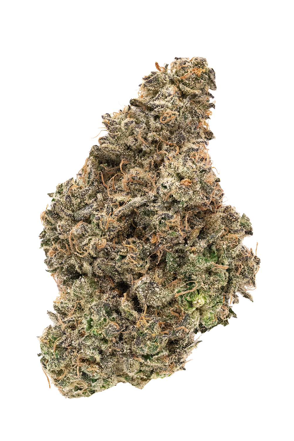 FIGR JUNGLE FUMES (S) DRIED - 14G