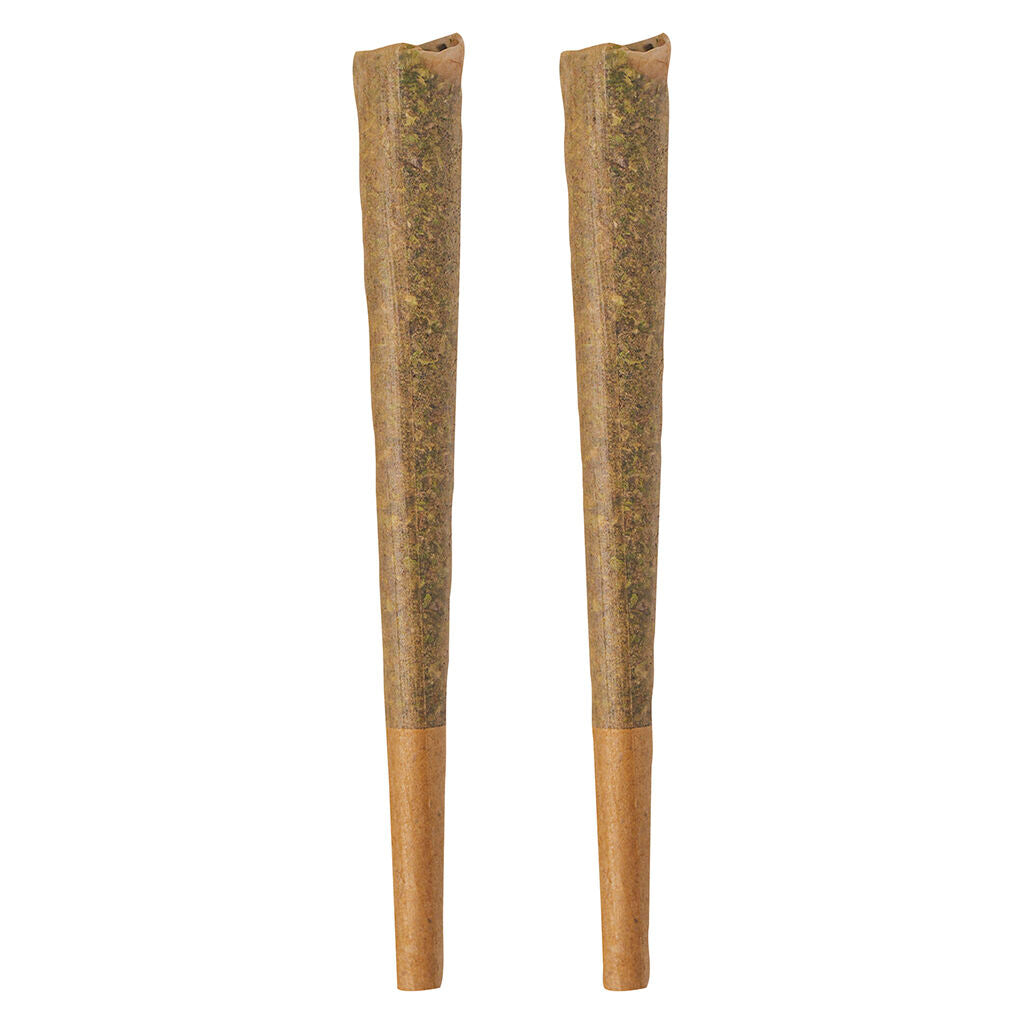 BOLD GLAZED SATIVA (S) PRE-ROLL - 1GX2