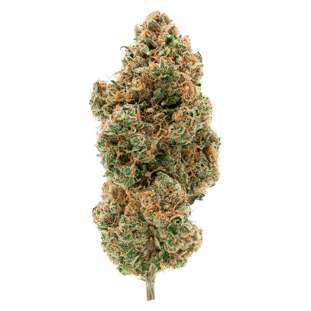 SIMPLY BARE BC ORGANIC TANGERINE SUNRISE (S) DRIED - 3.5G