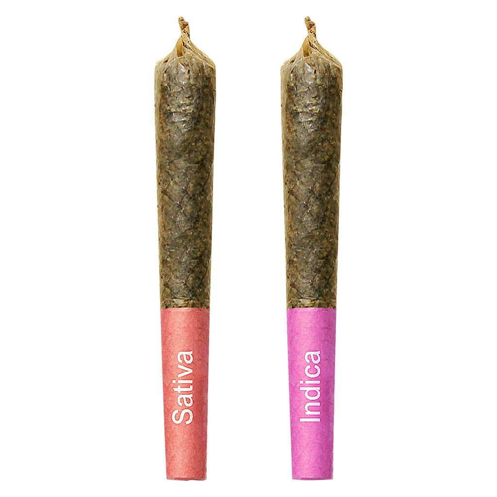 HIGH PRIESTESS GEMINI SUN MOON (H) INF PRE-ROLL - 0.75G X 2
