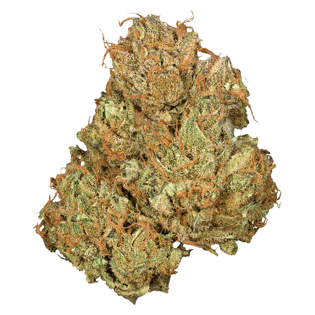 ORCHID CBD JEAN GUY CBD (S) DRIED - 3.5G