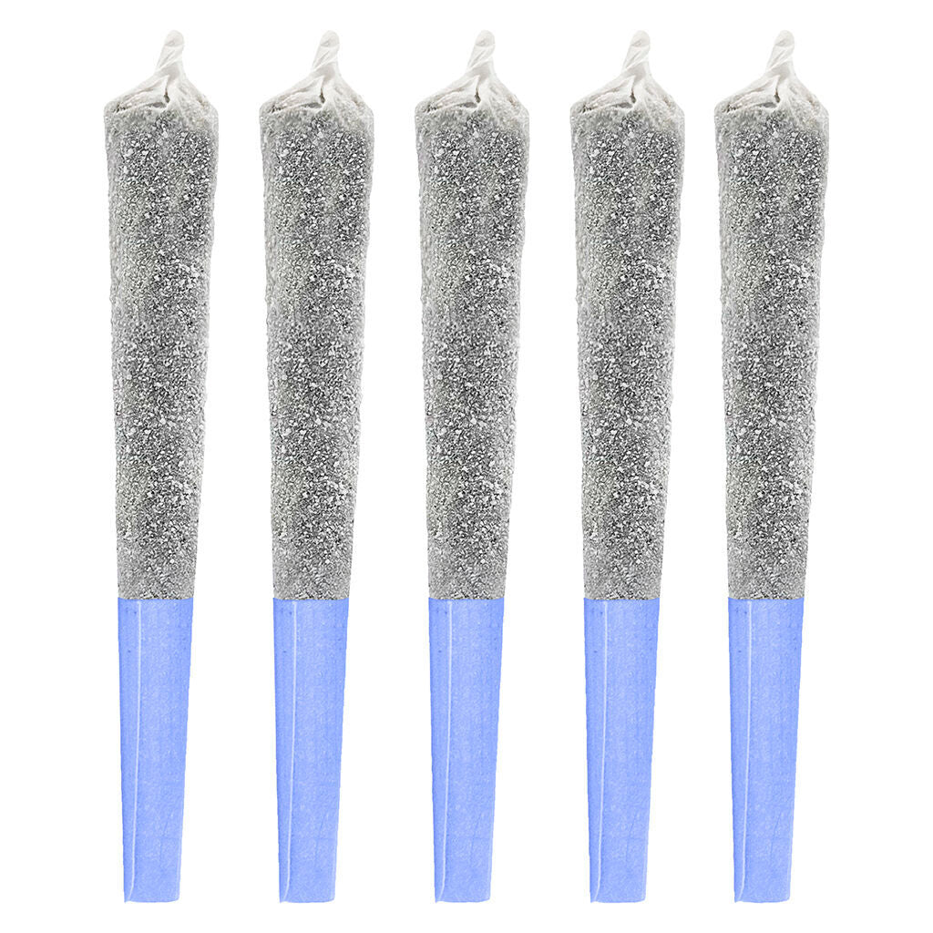 POTLUCK BERRY CHERRY (H) INF PRE-ROLL - 0.5G X 5