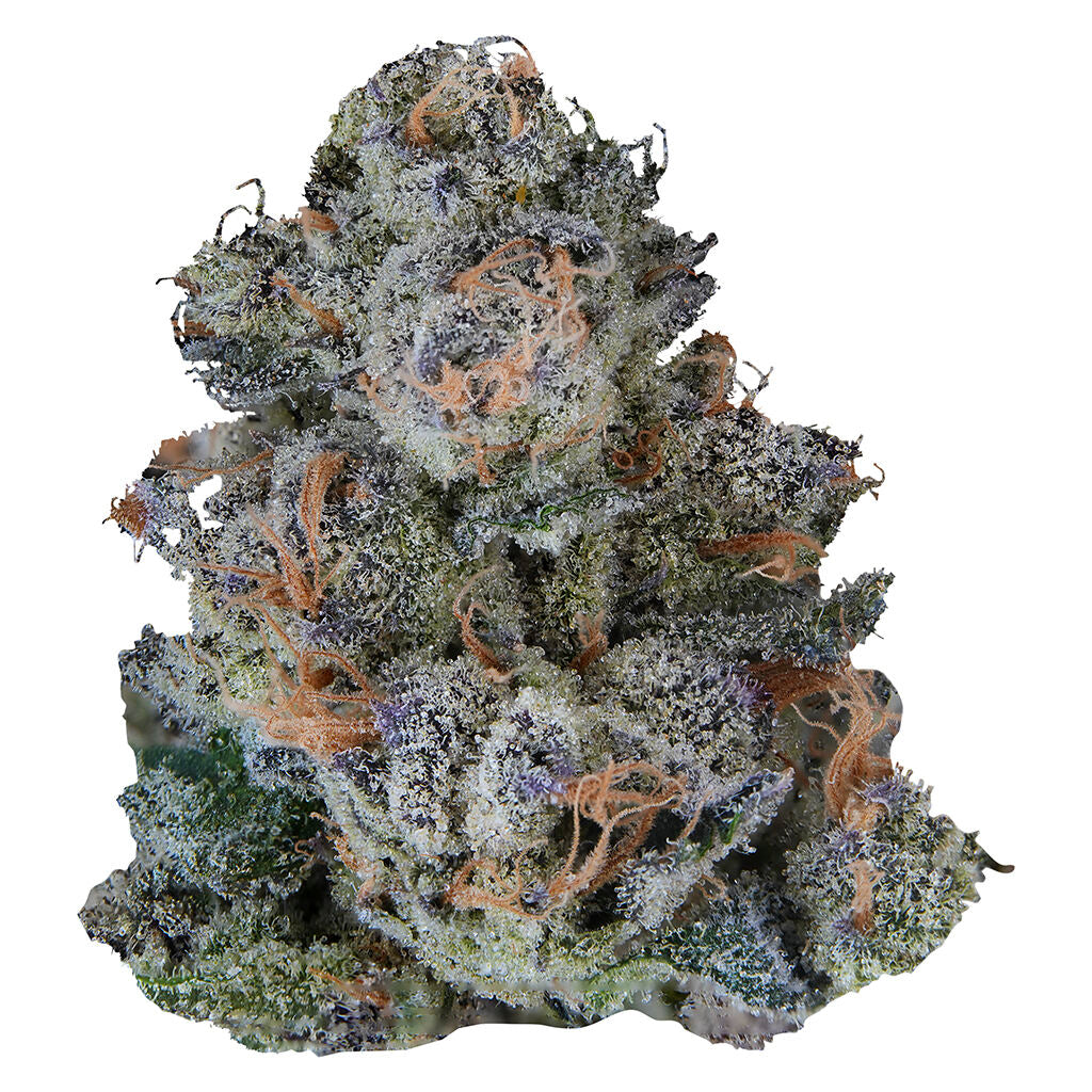 VOLO PLATINUM LEMON CHERRY GELATO (IND) DRIED - 3.5G