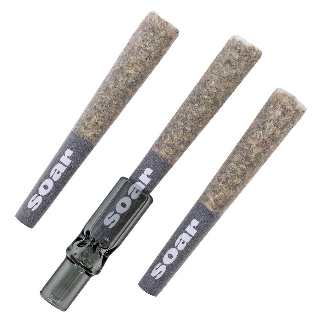 SOAR C99 HAZE GLASS TIP (S) PRE-ROLL - 0.5G X 3