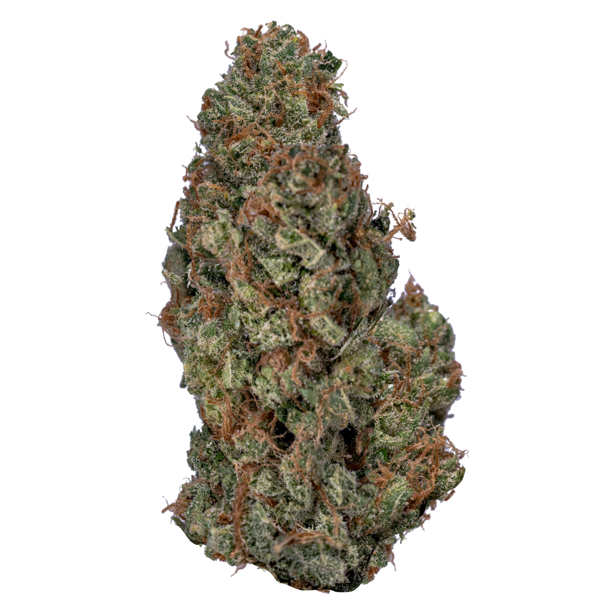VALUE BUDS SATIVA (S) DRIED - 28G