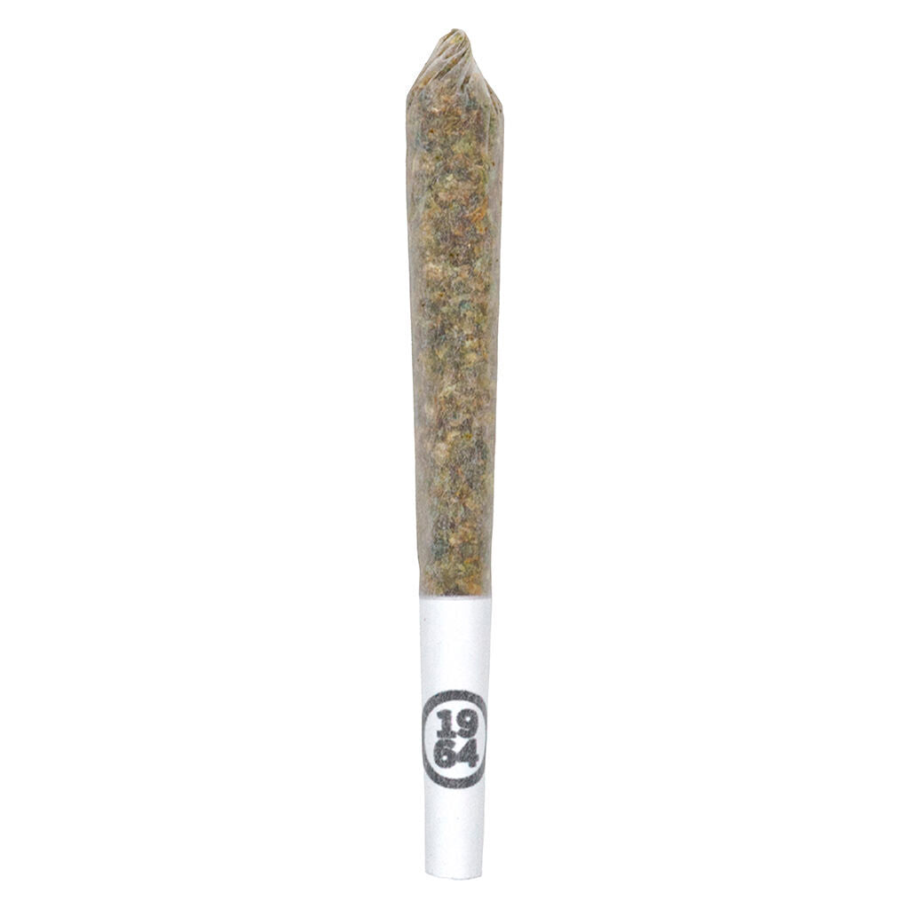 1964 STINKY PINKY (IND) PRE-ROLL - 0.5G X 14