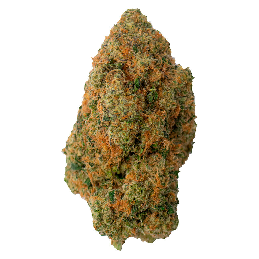 DOM JACKSON DOMS DIME PIECE (H) DRIED - 1G