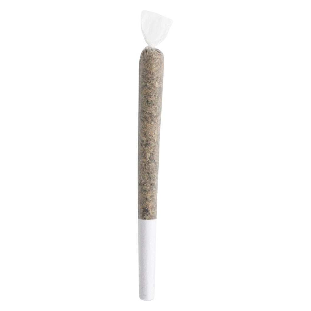 JACK HERER MASTER JACK (IND) PRE-ROLL - 1G X 1