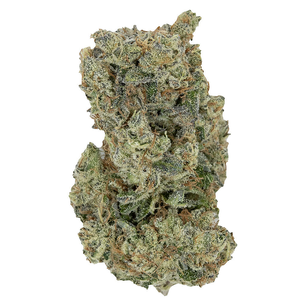 PISTOL AND PARIS HAWAIIAN FANTA (S) DRIED - 14G