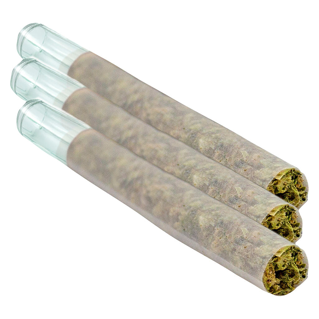 PUFFERS PARADISE HONAH LEE HAZE (S) PRE-ROLL - 0.5G X 1