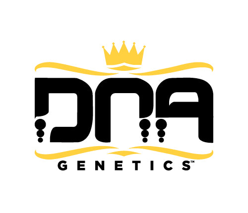 DNA GENETICS LEMON SKUNK (H) DRIED - 1G