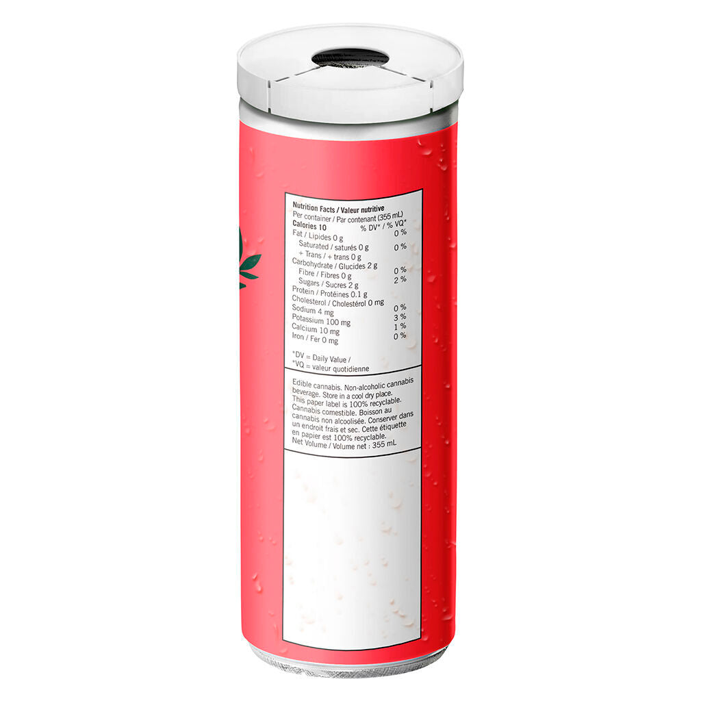 TEAPOT RASPBERRY ROSIN BLACK TEA (H) 10MGTHC:10MGCBG X 355ML