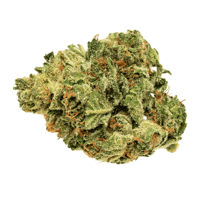 SOLEI RENEW (IND) DRIED - 3.5G