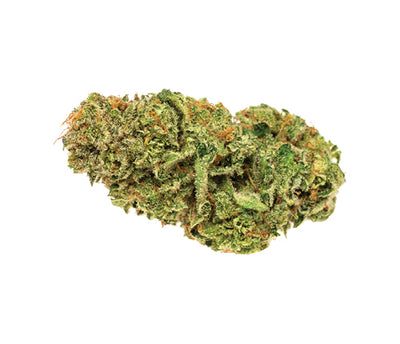 SOLEI BALANCE 1:1 (IND) DRIED - 3.5G