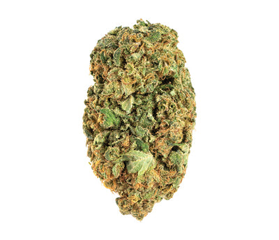 SOLEI FREE (S) DRIED - 3.5G