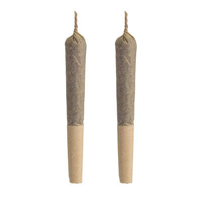 AURORA ACES THC (S) PRE-ROLL - 0.5G X 2