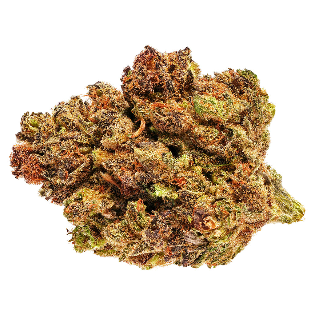 AURORA TEMPLE CBD (H) DRIED - 3.5G