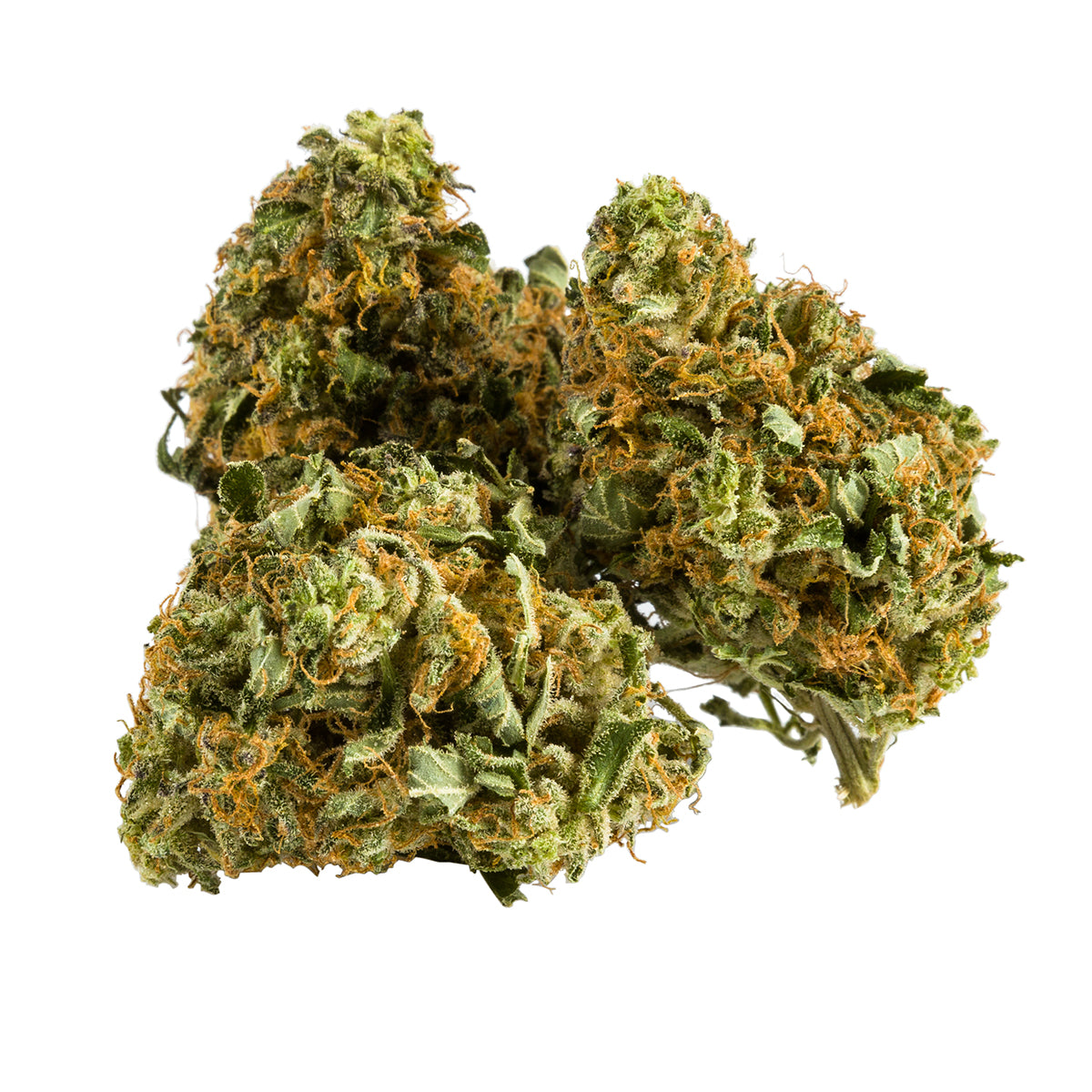 AURORA BANANA SPLIT (H) DRIED - 3.5G